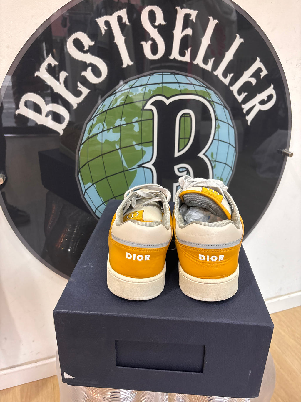 Dior B27 Low