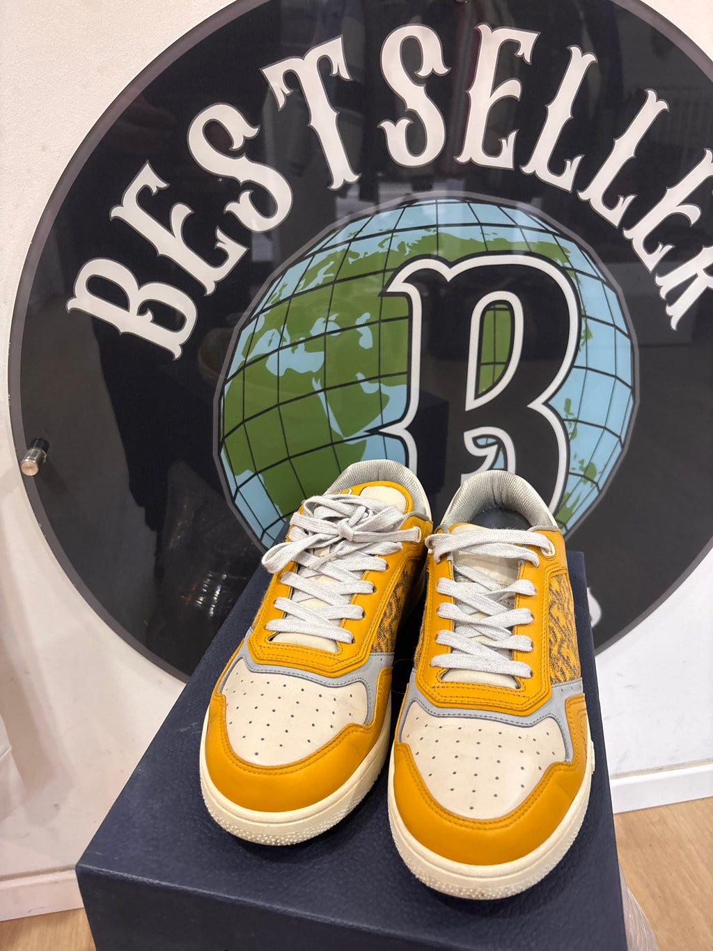 Dior B27 Low